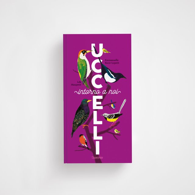Libro illustrato Uccelli intorno a noi per bambini con curiosità e illustrazioni sugli uccelli della natura