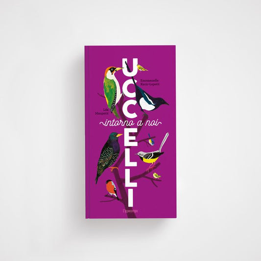 Libro illustrato Uccelli intorno a noi per bambini con curiosità e illustrazioni sugli uccelli della natura