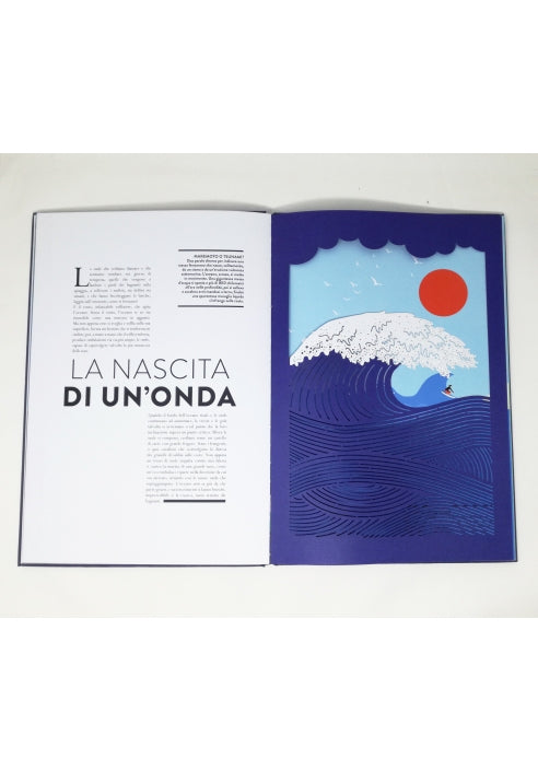 Libro "Oceano - Libro animato per esplorare il mondo marino" - Apple Pie