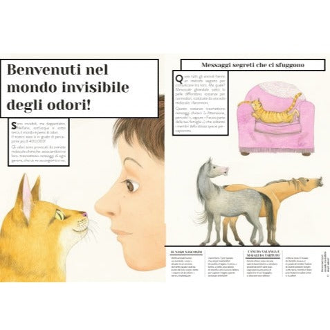 Libro "Zoodorato" - Come Sentono gli Animali? - Apple Pie