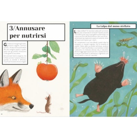 Libro "Zoodorato" - Come Sentono gli Animali? - Apple Pie